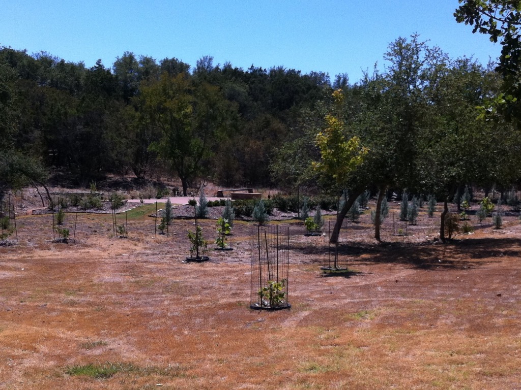2011-09-06-6607 Conifer Cove-28.jpg